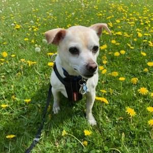 Meet your Posher, Joanne